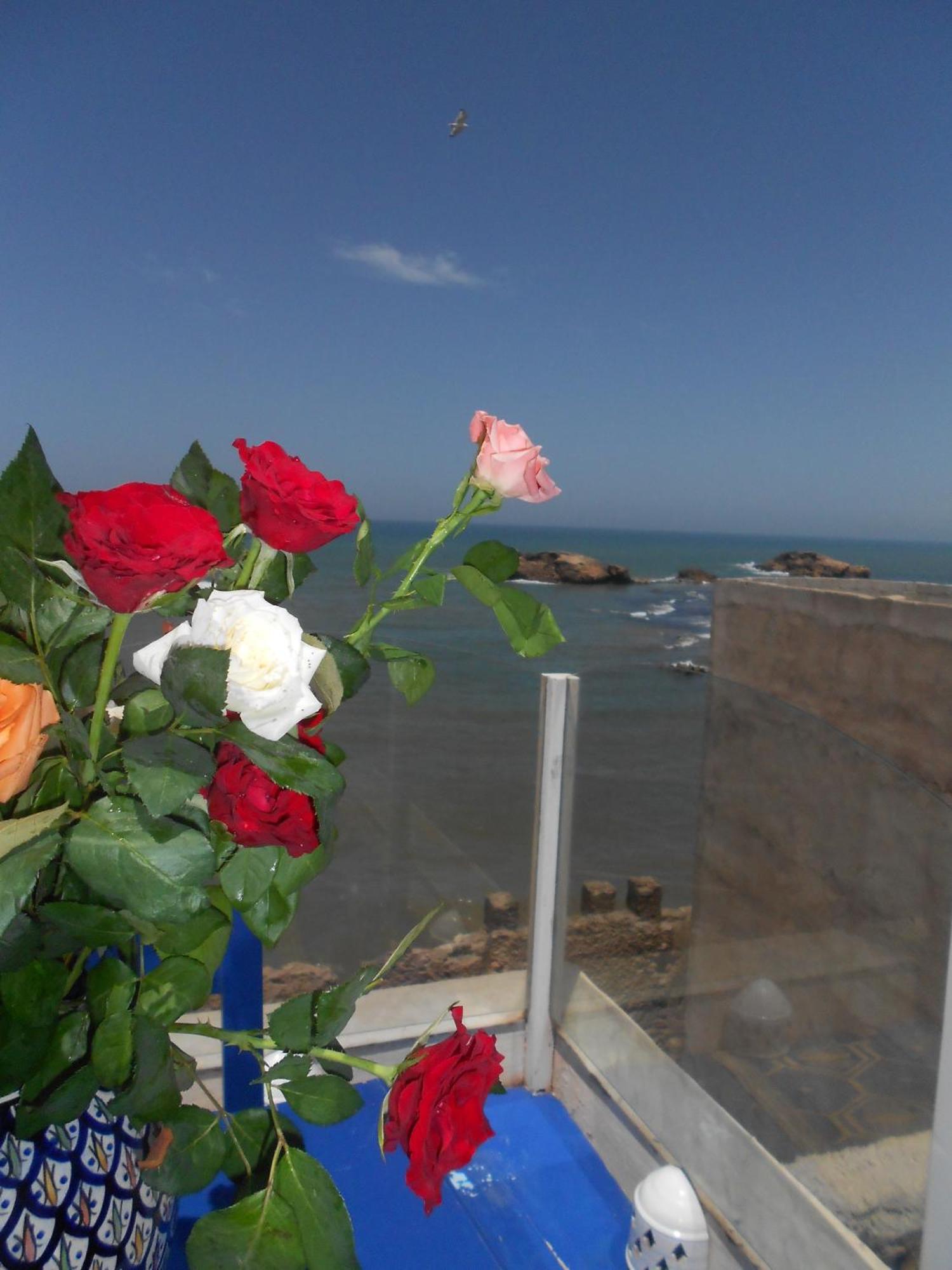 La Fontaine Bleue Hotell Essaouira Exteriör bild